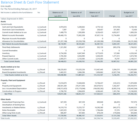 Running Financial Statement reports